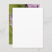 Rosa Blume Foto Natur Postkarte (Vorne/Hinten)