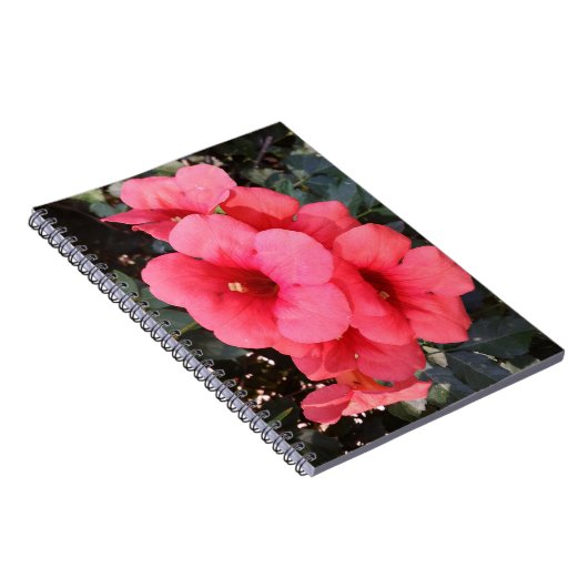 Rosa Blume Foto Notebook Notizblock (Rechte Seite)