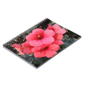 Rosa Blume Foto Notebook Notizblock (Linke Seite)