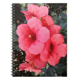 Rosa Blume Foto Notebook Notizblock