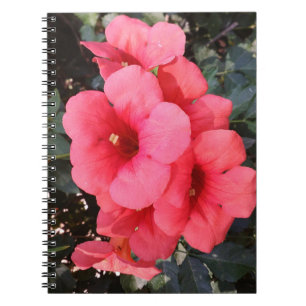 Rosa Blume Foto Notebook Notizblock