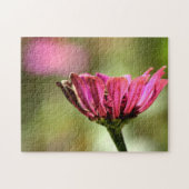 Rosa Blume Foto Puzzle (Horizontal)