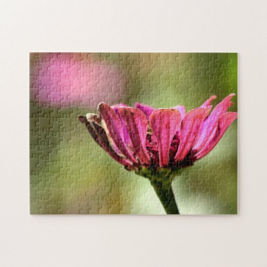 Rosa Blume Foto Puzzle (Horizontal)