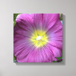 Rosa Blume Foto Single Reproduktion Leinwanddruck