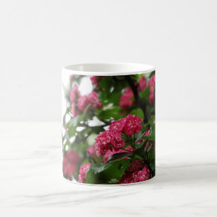 Rosa Blume Foto Tasse