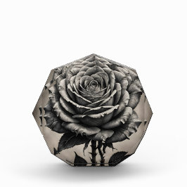 Rosa Blume Fotoblock