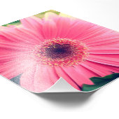 Rosa Blume Fotodruck (Ecke)