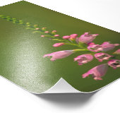 Rosa Blume Fotodruck (Ecke)