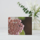 Rosa Blume Fotografie Postkarte (Stehend Vorderseite)