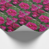 Rosa Blume Fotografie Wrapping Paper Geschenkpapier (Ecke)