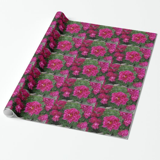Rosa Blume Fotografie Wrapping Paper Geschenkpapier (Ungerollt)