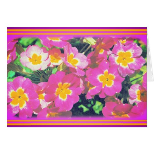 Rosa Blume Fotokarte (Vorderseite (Horizontal))