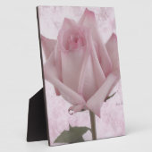 Rosa-Blume Fotoplatte (Seite)
