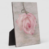 Rosa-Blume Fotoplatte (Seite)