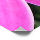 Rosa Blume Gerbera Daisy Floral Poster (Ecke)