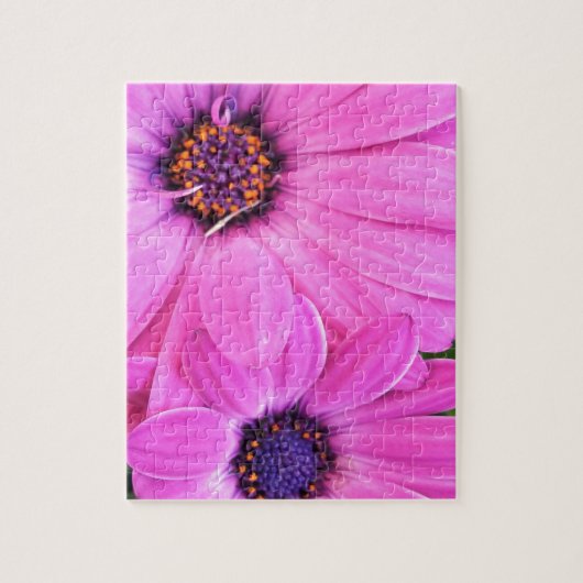 Rosa Blume Gerbera Daisy Floral Puzzle (Vertikal)