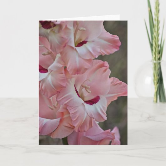 Rosa Blume Gladiolus Art Note Card Karte (Vorderseite)