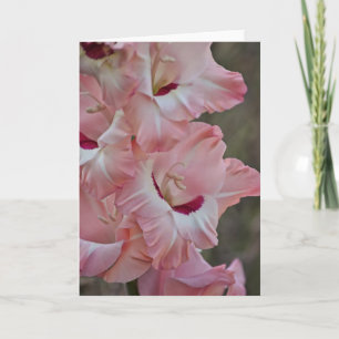Rosa Blume Gladiolus Art Note Card Karte