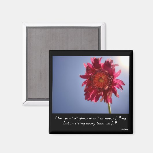 Rosa Blume Glory Magnet (Vorderseite/Rückseite)