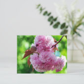Rosa Blume Gruß Postkarte (Stehend Vorderseite)