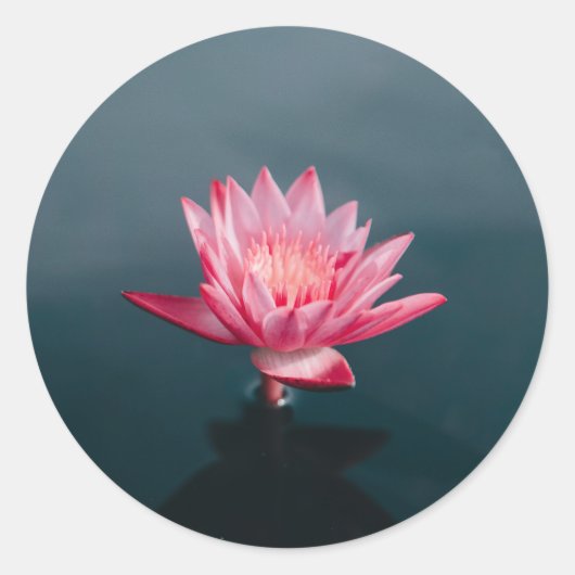 Rosa Blume Grußkarte Set Runder Aufkleber (Vorderseite)