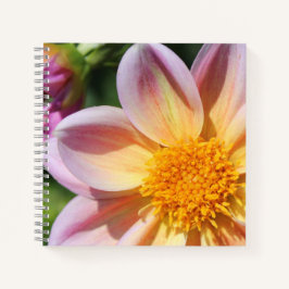 rosa Blume, hellgelbes Zentrum - Makro-Foto Notizblock