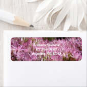 Rosa Blume Herbst multiplizierte Adresse (Insitu)