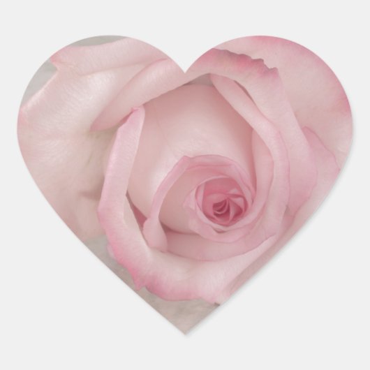Rosa-Blume Herz-Aufkleber (Vorderseite)