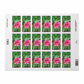 Rosa Blume Hochzeitsweinetiketten. Adressaufkleber (Vorne)