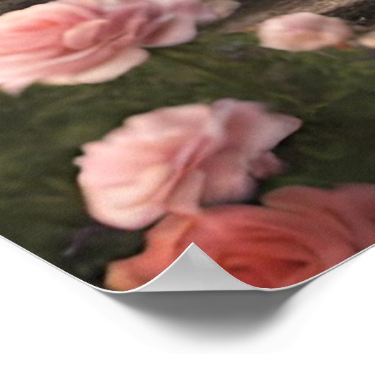 Rosa Blume Hütte Poster (Ecke)