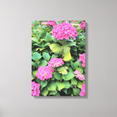 Rosa Blume Hydrangea Single drucken Leinwanddruck (Vorderseite)