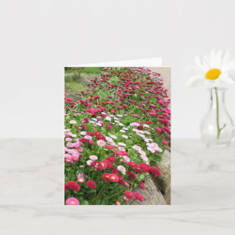 Rosa Blume im Blut Karte