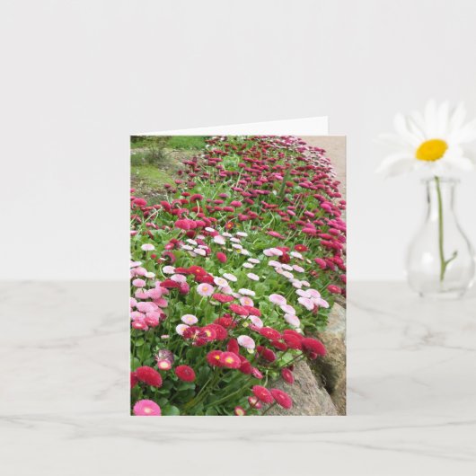 Rosa Blume im Blut Karte (Kleine Pflanze)