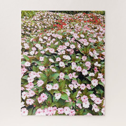 Rosa Blume im botanischen Garten NSW Puzzle (Vertikal)