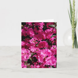 Rosa Blume im Garten Feiertagskarte