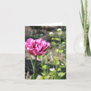 Rosa Blume im Garten Feiertagskarte