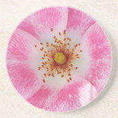 Rosa Blume im Schatten Getränkeuntersetzer (Vorne)