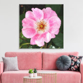 Rosa Blume im Schatten Leinwanddruck (Insitu (Wohnzimmer))