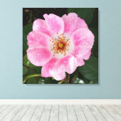 Rosa Blume im Schatten Leinwanddruck (Insitu (Holzboden))