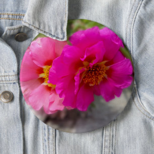 Rosa Blume in der Sonne Button