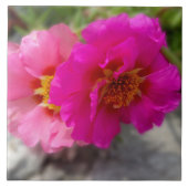 Rosa Blume in der Sonne Fliese (Vorderseite)