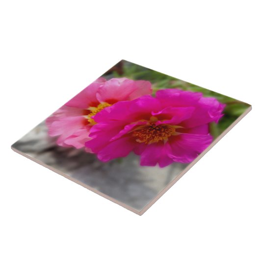 Rosa Blume in der Sonne Fliese (Seite)