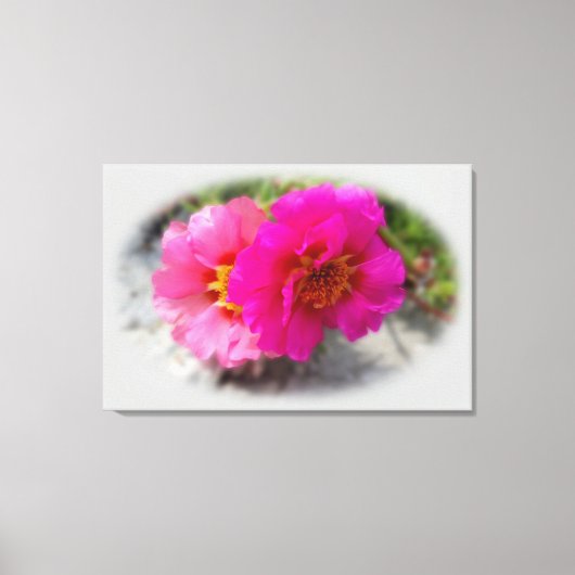 Rosa Blume in der Sonne Leinwanddruck (Vorderseite)