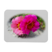 Rosa Blume in der Sonne Magnet (Horizontal)