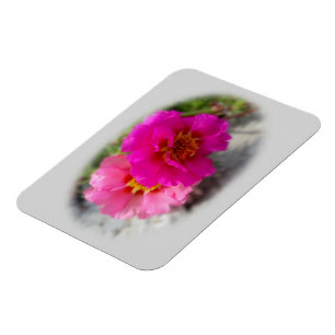 Rosa Blume in der Sonne Magnet