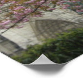 Rosa Blume in Notre Dame Poster (Ecke)