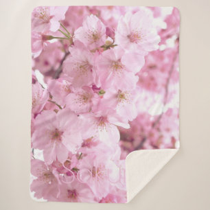 Rosa Blume Japanischer Kirschblossom Sherpadecke