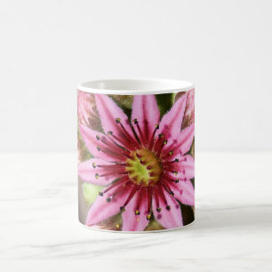 Rosa Blume Kaffeemaschine Kaffeetasse