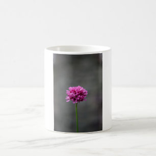 Rosa Blume Kaffeetasse