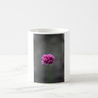 Rosa Blume Kaffeetasse